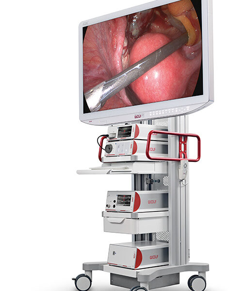 Richard Wolf - ENDOCAM Logic 4K - Rigid Endoscopy