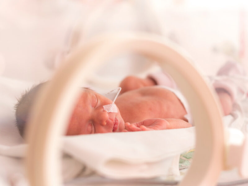 Newborn infant premature incubator healthcare - square image