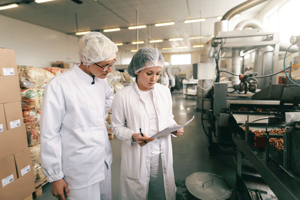 People inspecting food standards in a factory.