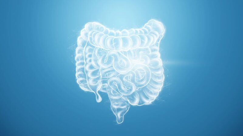 Bowel image illustration with blue background