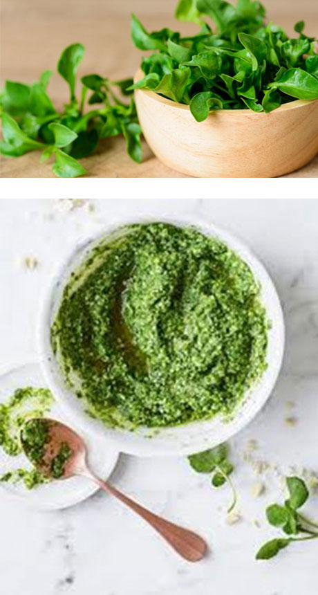 Cresto (Watercress Pesto)