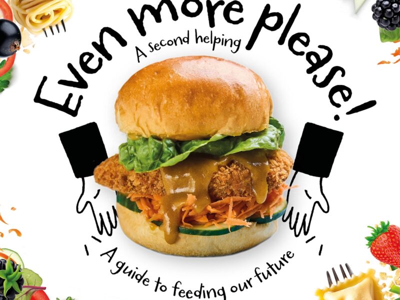 Recipe book cover - Even More Please