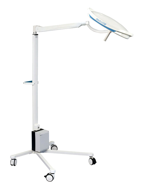 led-6mc-4-feet-mobile-sept-2025