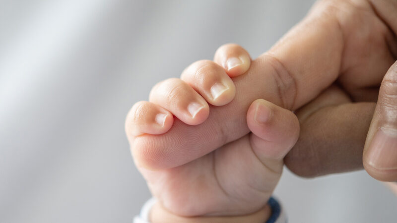 New born baby's hand reaching for an adult's finger