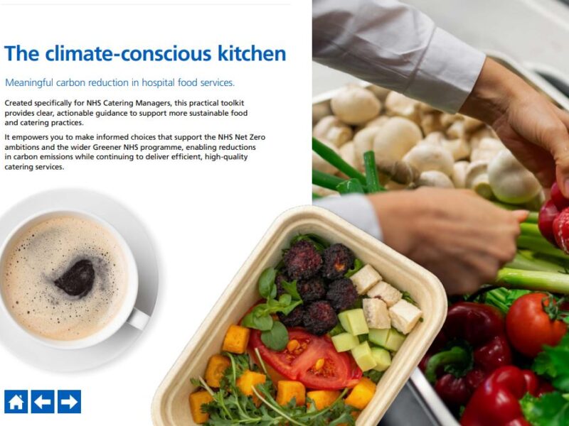 A screenshot showing the climate-conscious kitchen page of the Carbon Toolkit guide A screenshot showing the climate-conscious kitchen page of the Carbon Toolkit guide