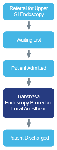Process Map showing what happened after the transnasal endoscopy procedure was implemented.