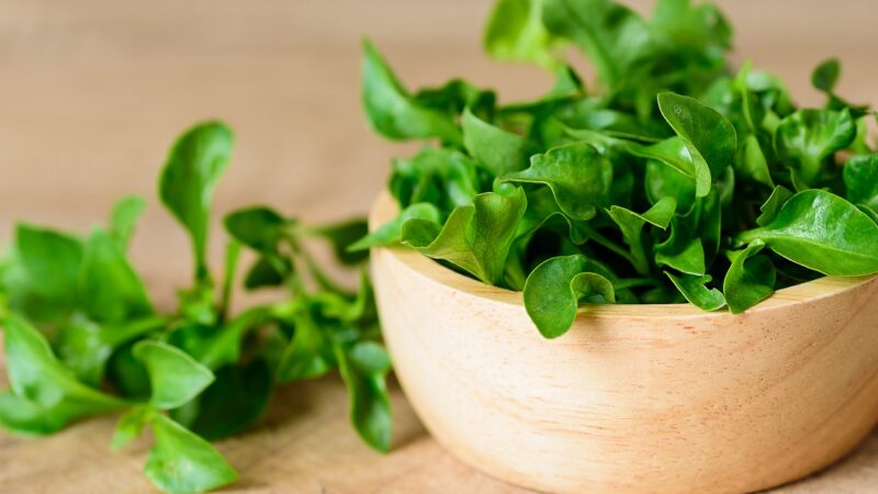 fresh water cress bowl and board fresh water cress bowl and board